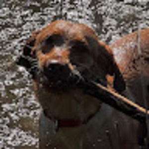 Meet your Posher, Eli